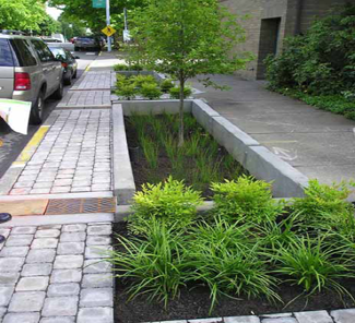 StreetPlanter